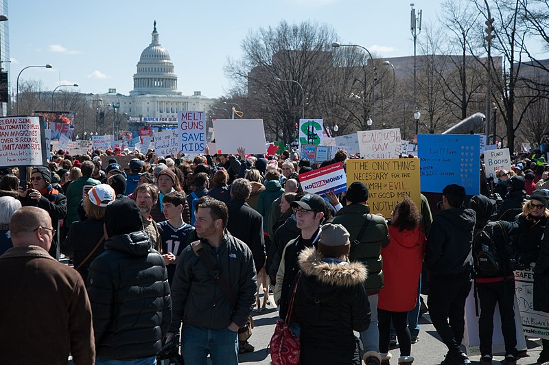On March 24, people across the country participated in the March for Our Lives, a protest in response to the Parkland shooting. The largest march was in Washington, D.C. but many other cities participated.
