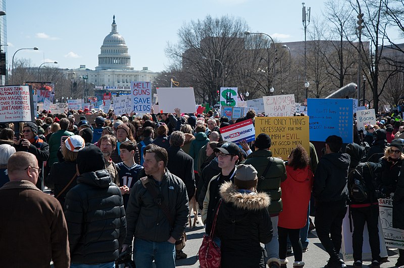 On March 24, people across the country participated in the "March for Our Lives", a protest in response to the Parkland shooting. The largest march was in Washington, D.C. but many other cities participated.