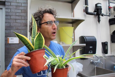 Mr. Brabec – Science