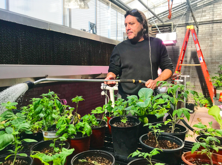 Tim Oberhelman waters plants in the greenhouse at Olathe West .