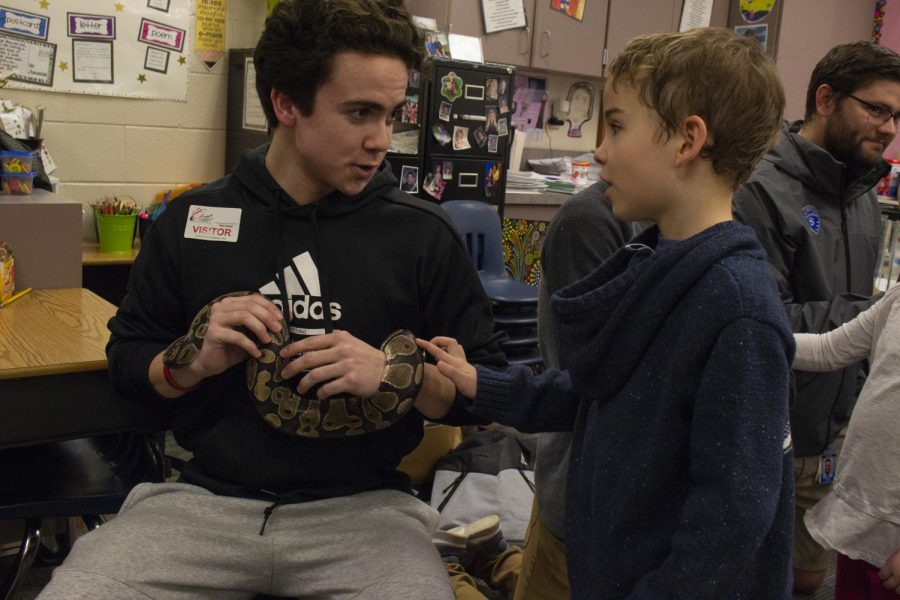 Junior student naturalist Quinn Todd, introduces young first grader James McDonnell from Cedar Creek Elementary to our very own ball python, Bo. The young elementary schoolers all got a chance to touch the animals that were brought and shown to them.