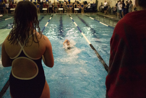 Swimming, Diving, and Splashing Away Competition