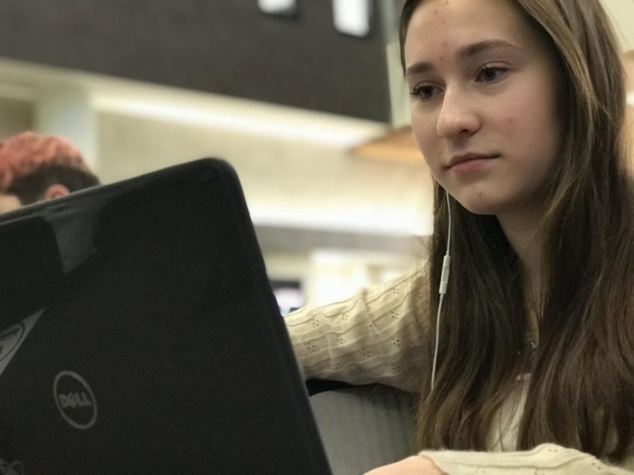 Sophomore Ellie Pogorek plays Minecraft on her school issued computer.