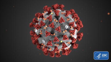 Fears of “Coronavirus” Strike Internationally and Locally