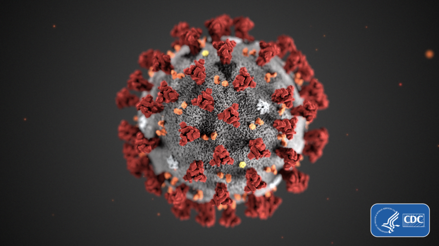 This scientist-made model of coronavirus tells people more about the virus, but less about Covid-19.
