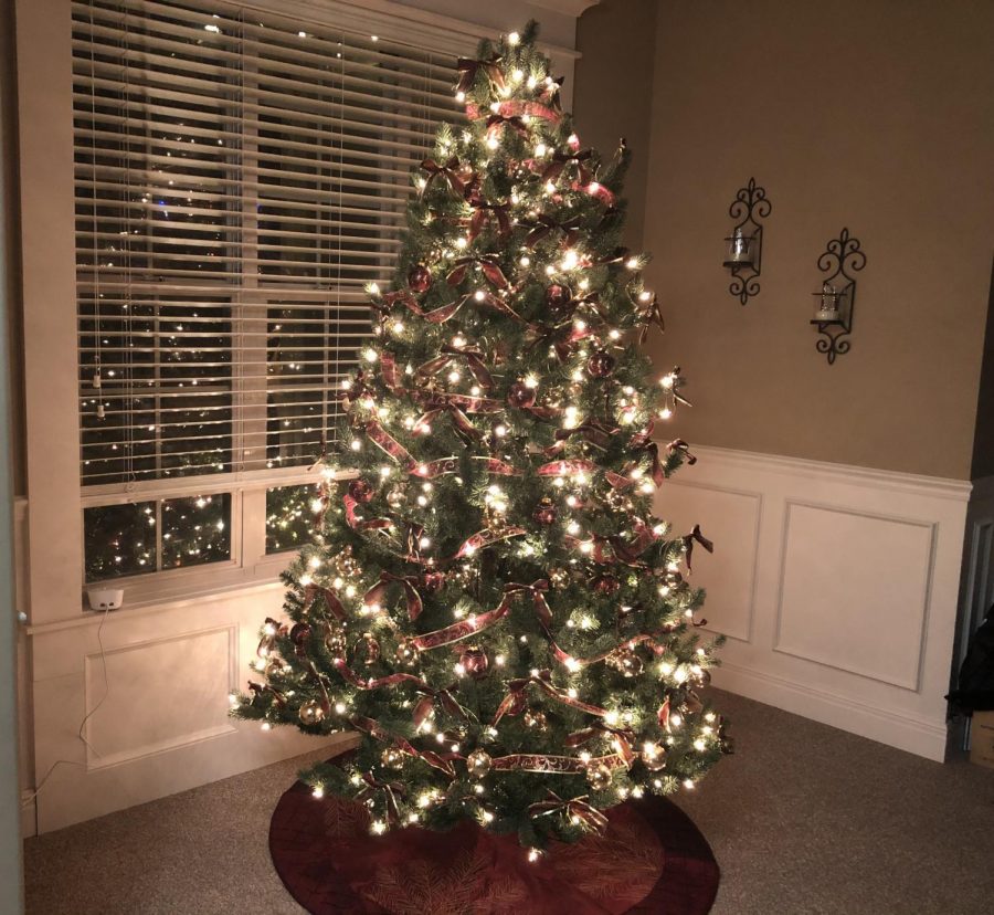 The+Holly+Jolly+Christmas+Tree+Debate