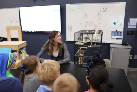 On April 6, Student Naturalist teacher Mrs. Badger held an “Animal Talk”, where she and her students show off the animals to elementary schoolers. In this photo, Mrs. Badger is showing everyone the cockatiel.
