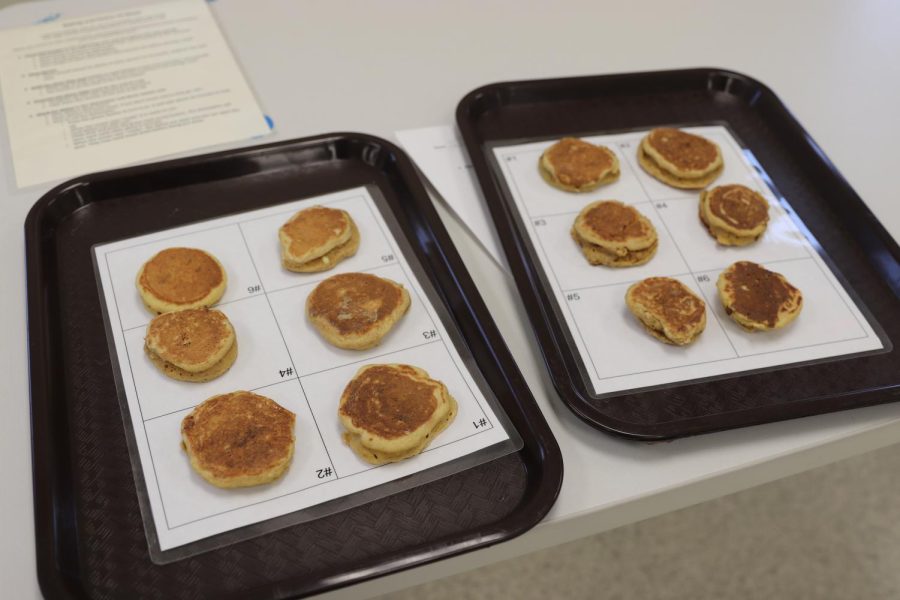 All of the different pancakes after they have been cooked by the class and prepared for tasting.
