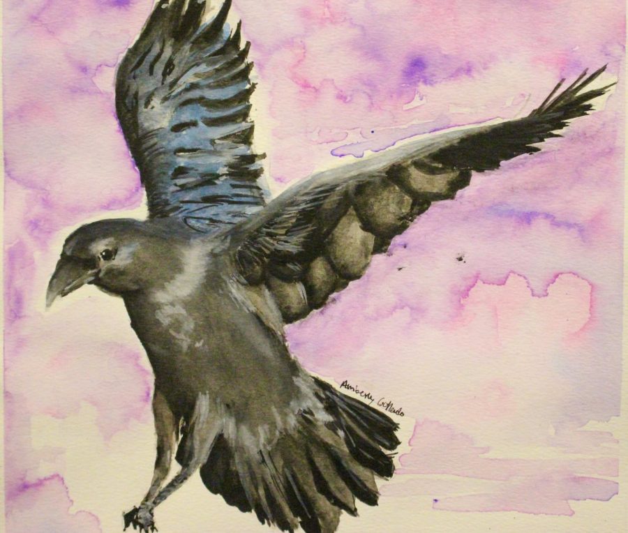Watercolor bird painted by Amberly.