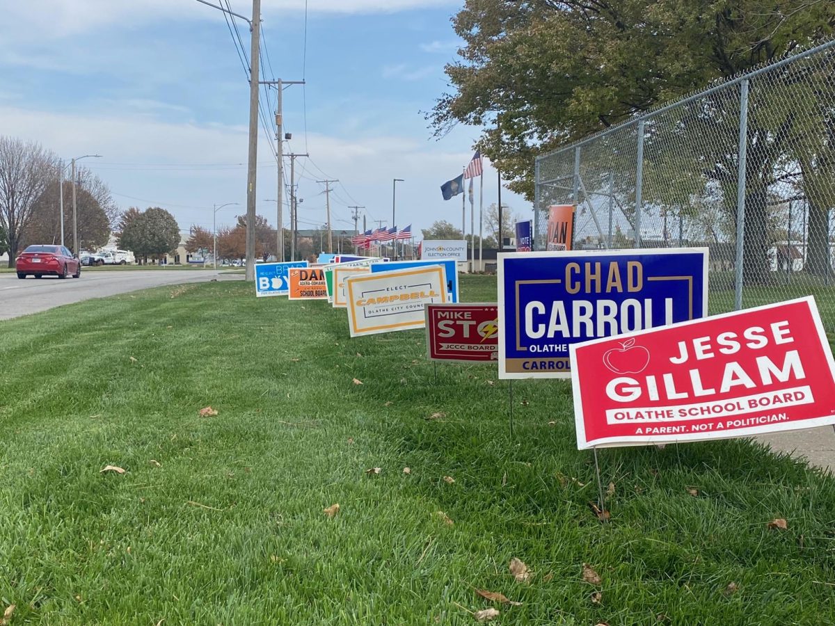 Campaign signs for candidates of the school board lined up outside of the election building.