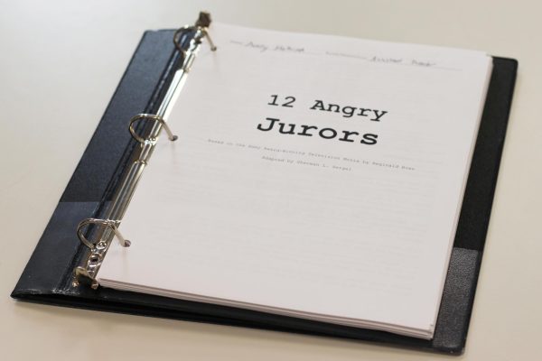 The adaption of 12 Angry Men turns into 12 Angry Jurors to create a gender inclusive show.
