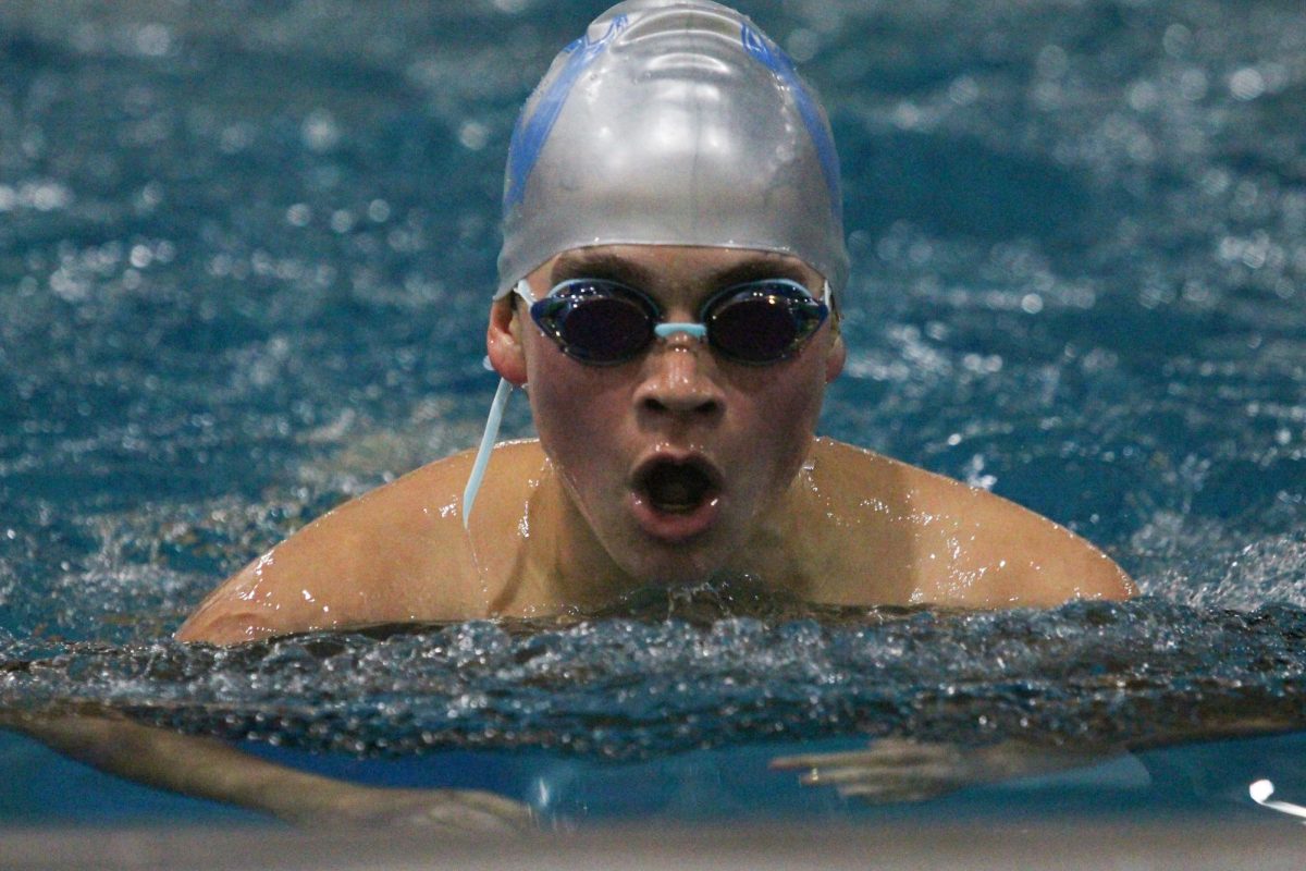 Senior Sven Stroemsten competes in the butterfly at the Nov. 28 swim meet.
