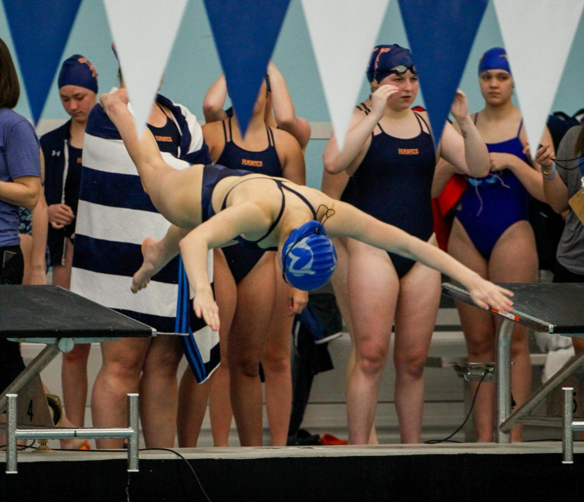 Senior Lydia Fink dives off the block during the Olathe City Meet on March 21.