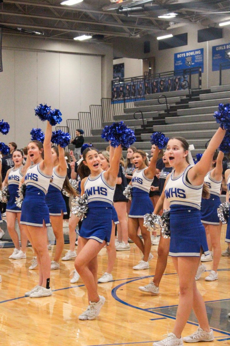 The cheerleaders perform during the pep assembly on transition day.