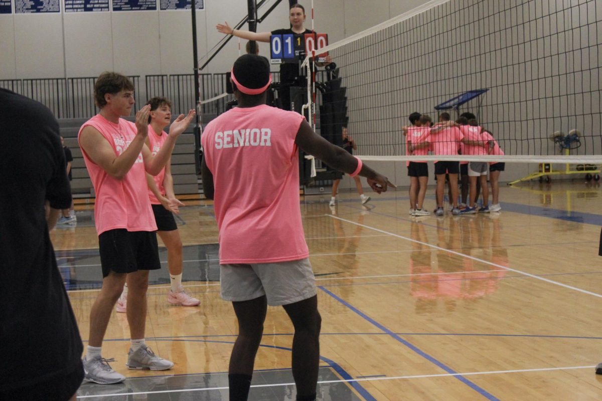 Max Hamilton and David Harper celebrate a point.