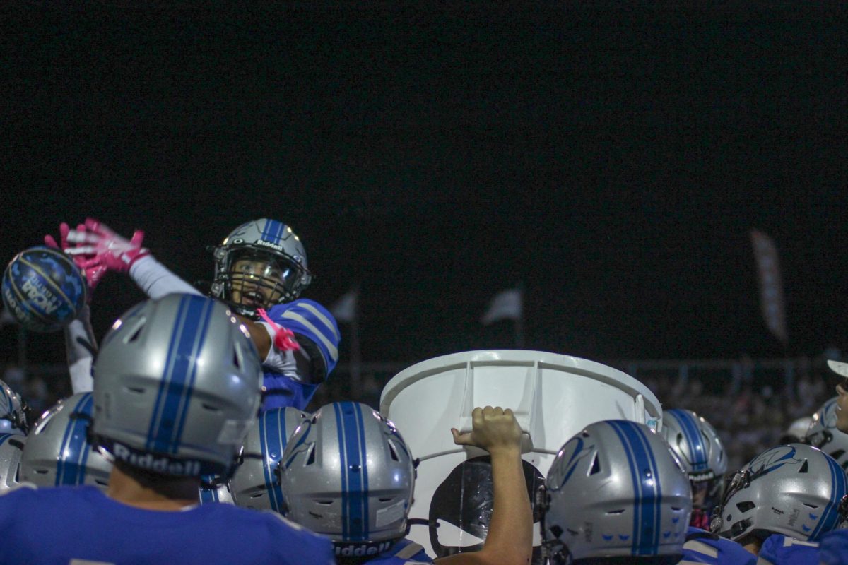 Underdogs No More; Owls Move to 6-1