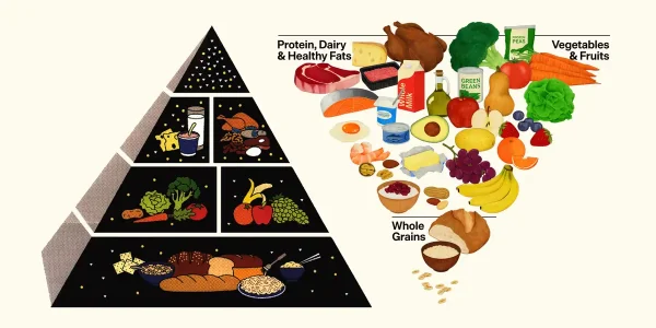 Under RFK Jr, the food pyramid has flipped upside down and shuffled around.