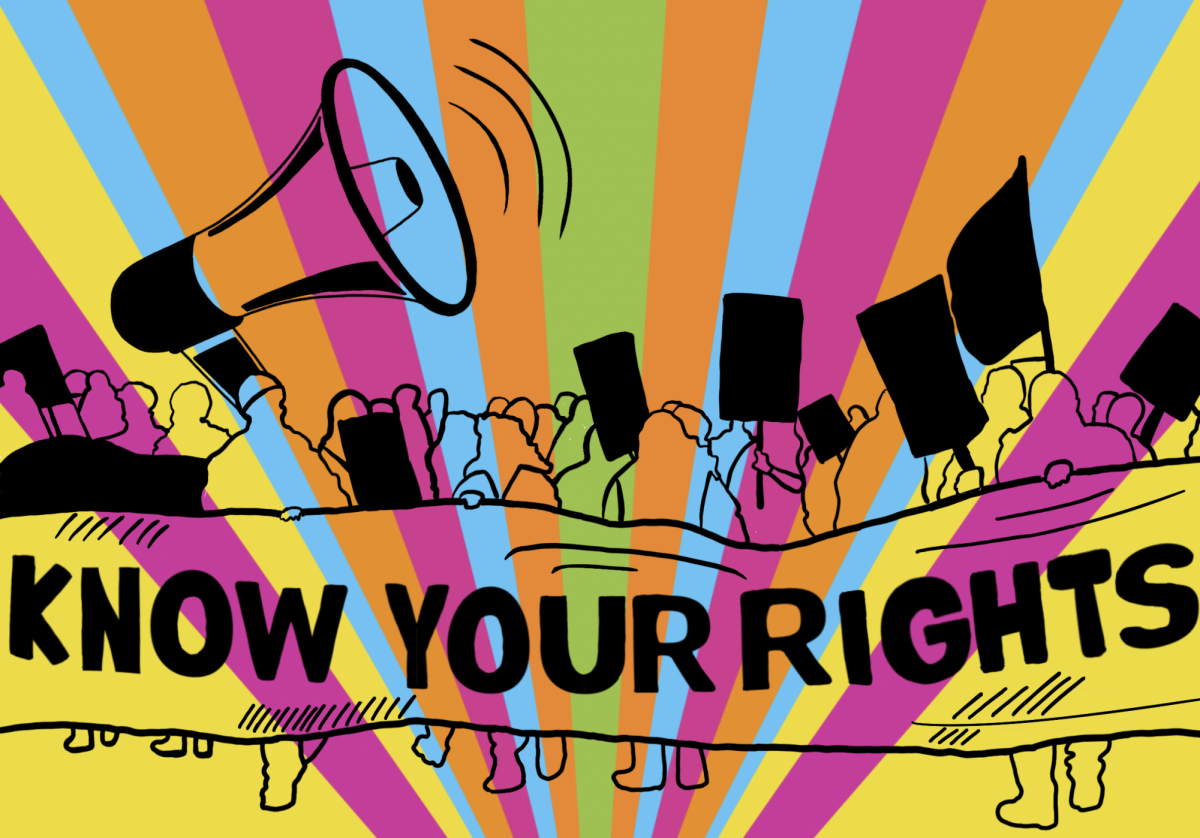 "Know Your Rights" titled graphic displayed against a colorful background.